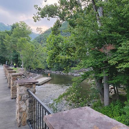Villa Bear Necessities, Luxury 5Bd Mtn Views, Hot Tub, Many Bear Sightings à Gatlinburg Extérieur photo