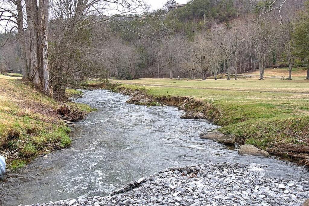 Villa Bear Necessities, Luxury 5Bd Mtn Views, Hot Tub, Many Bear Sightings à Gatlinburg Extérieur photo