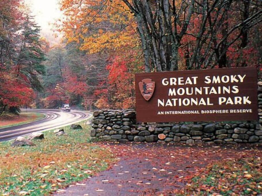 Villa Bear Necessities, Luxury 5Bd Mtn Views, Hot Tub, Many Bear Sightings à Gatlinburg Extérieur photo