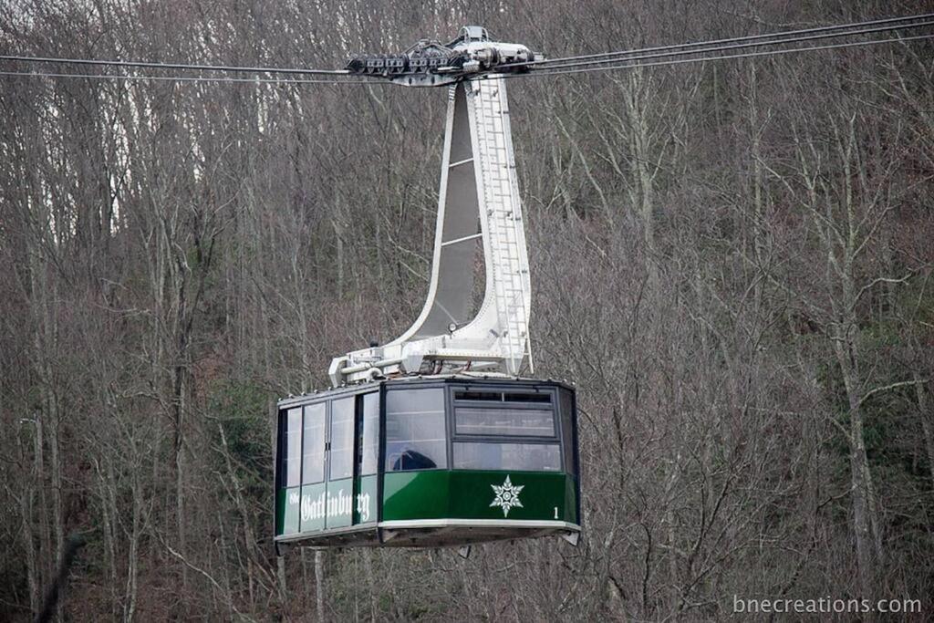 Villa Bear Necessities, Luxury 5Bd Mtn Views, Hot Tub, Many Bear Sightings à Gatlinburg Extérieur photo