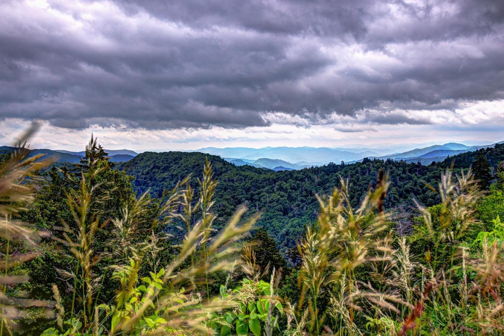 Villa Bear Necessities, Luxury 5Bd Mtn Views, Hot Tub, Many Bear Sightings à Gatlinburg Extérieur photo