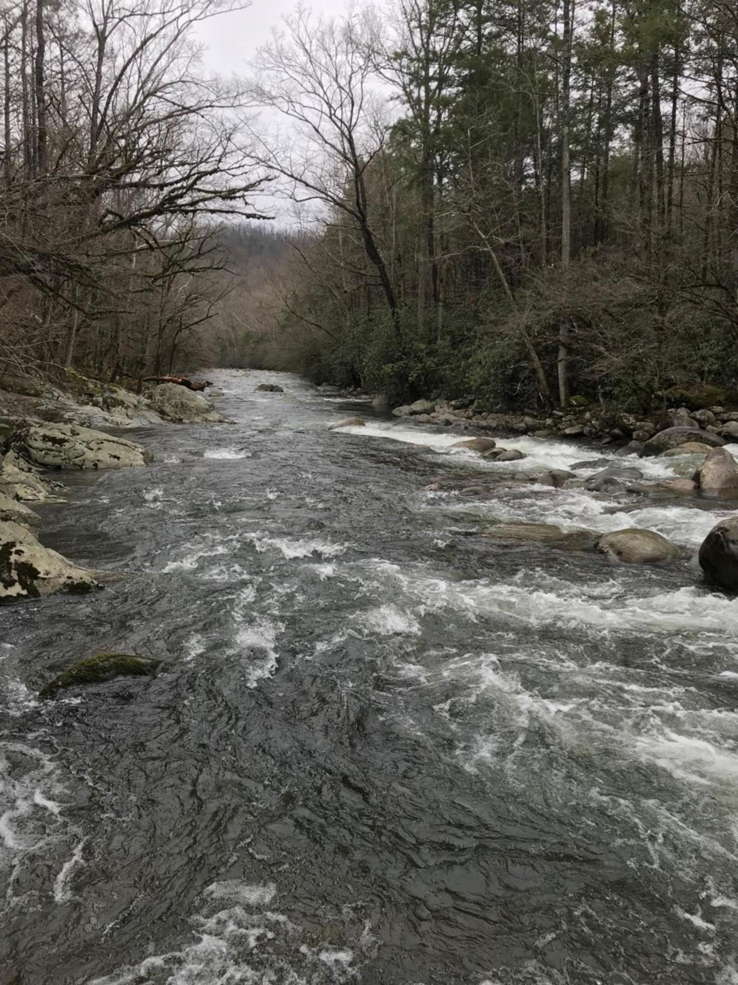 Villa Bear Necessities, Luxury 5Bd Mtn Views, Hot Tub, Many Bear Sightings à Gatlinburg Extérieur photo