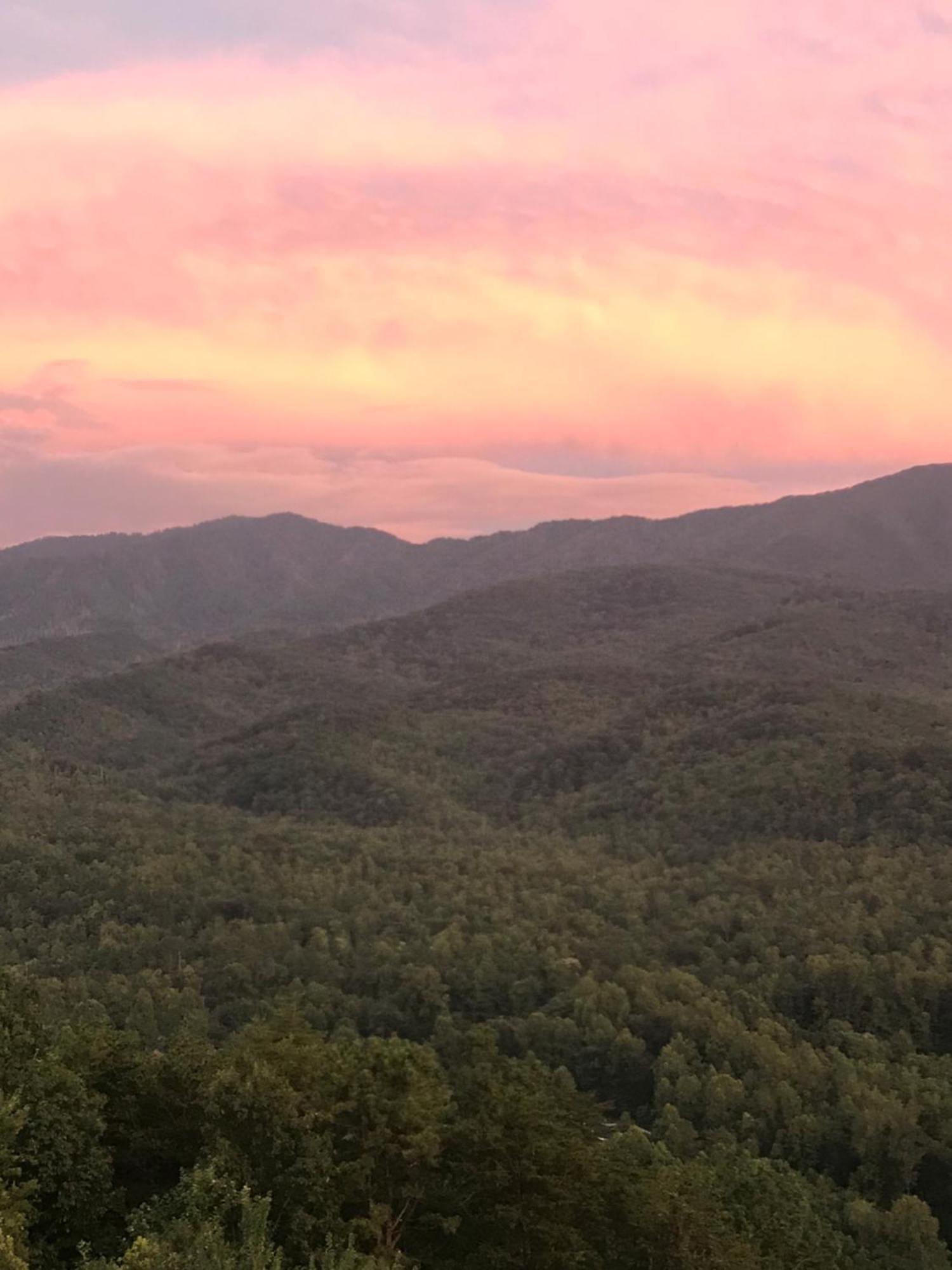 Villa Bear Necessities, Luxury 5Bd Mtn Views, Hot Tub, Many Bear Sightings à Gatlinburg Extérieur photo
