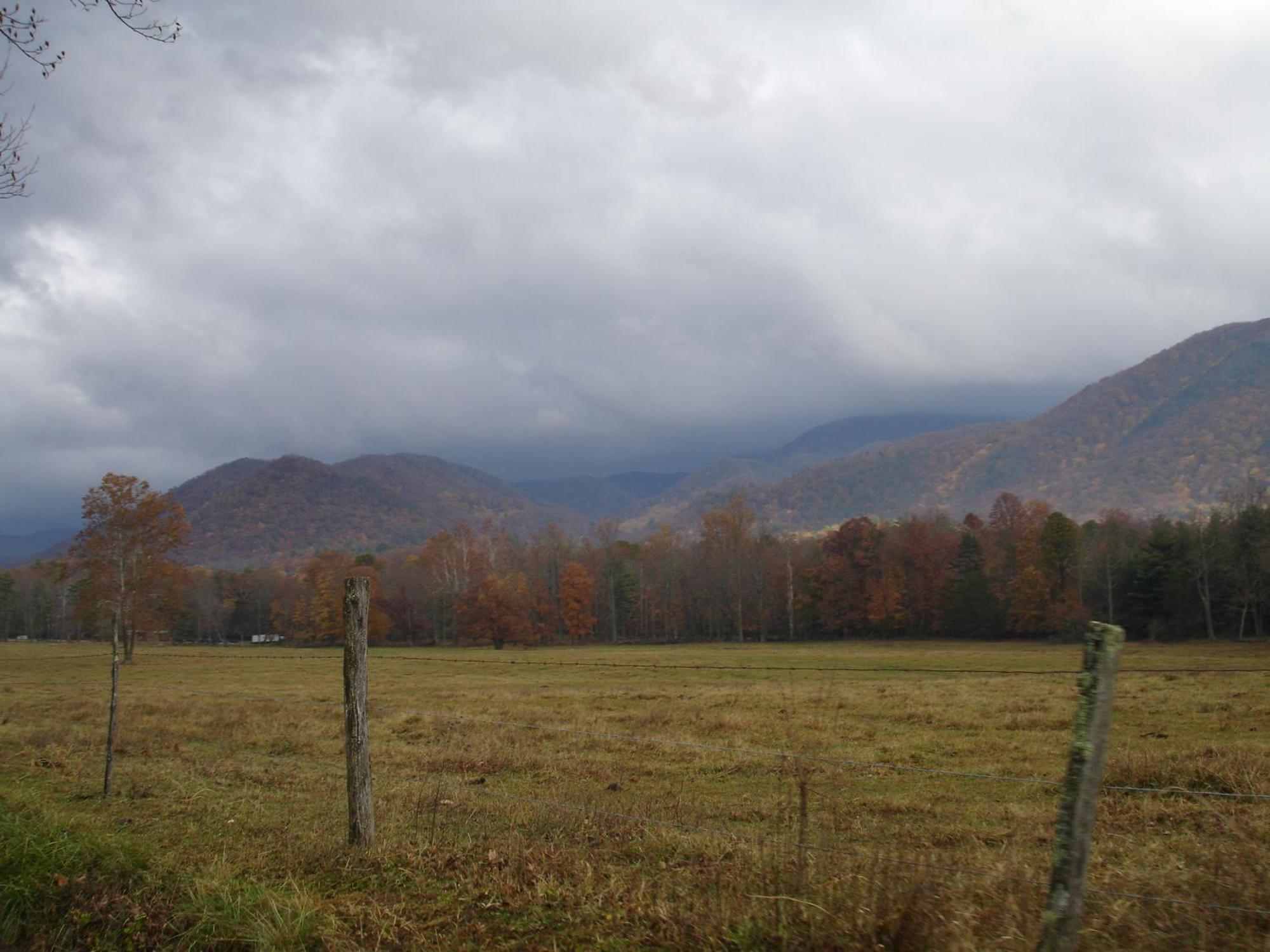 Villa Bear Necessities, Luxury 5Bd Mtn Views, Hot Tub, Many Bear Sightings à Gatlinburg Extérieur photo