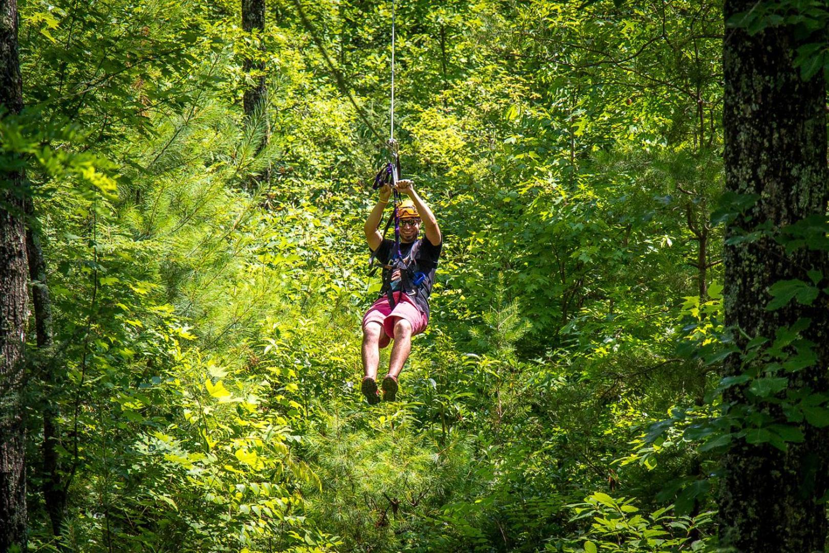 Villa Bear Necessities, Luxury 5Bd Mtn Views, Hot Tub, Many Bear Sightings à Gatlinburg Extérieur photo
