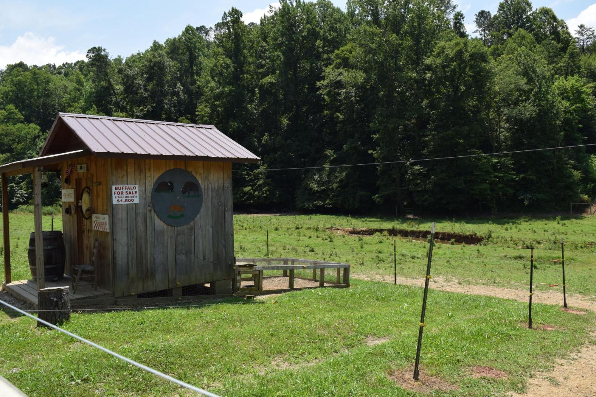 Villa Bear Necessities, Luxury 5Bd Mtn Views, Hot Tub, Many Bear Sightings à Gatlinburg Extérieur photo