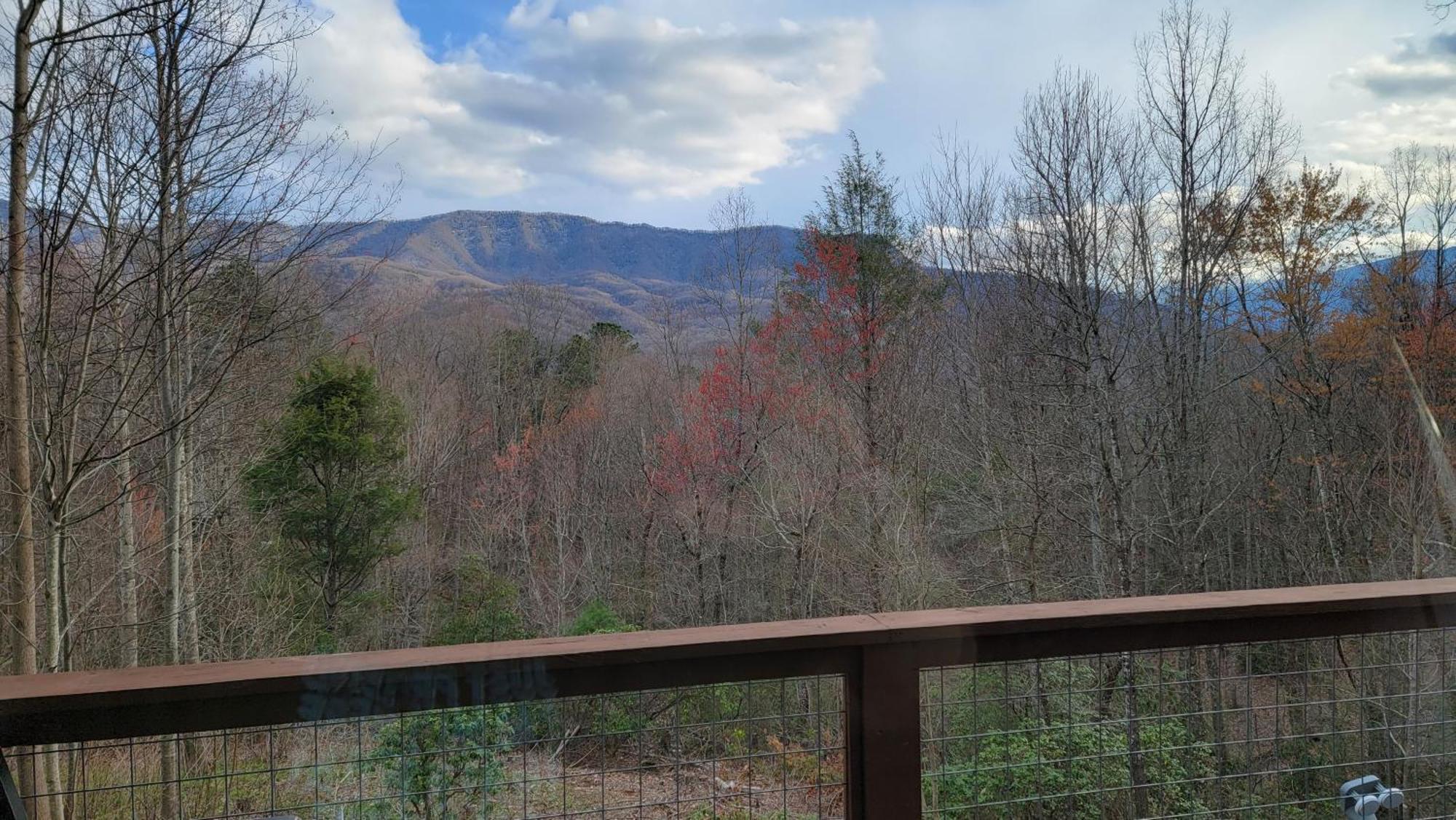 Villa Bear Necessities, Luxury 5Bd Mtn Views, Hot Tub, Many Bear Sightings à Gatlinburg Extérieur photo