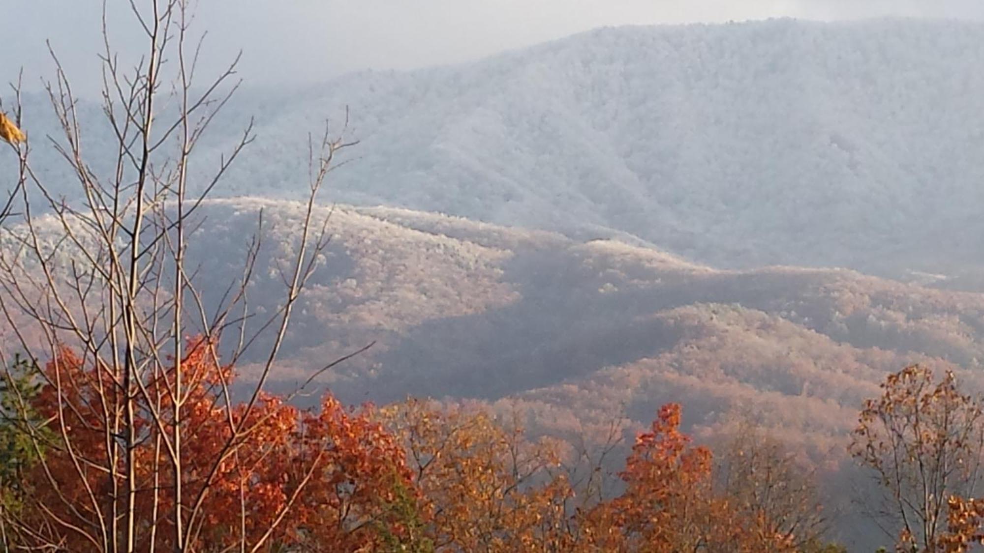 Villa Bear Necessities, Luxury 5Bd Mtn Views, Hot Tub, Many Bear Sightings à Gatlinburg Extérieur photo